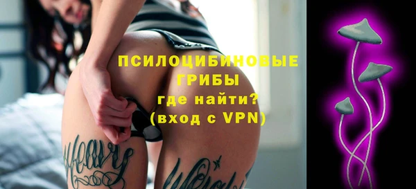 твердый Пересвет