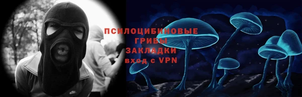 первитин Осинники