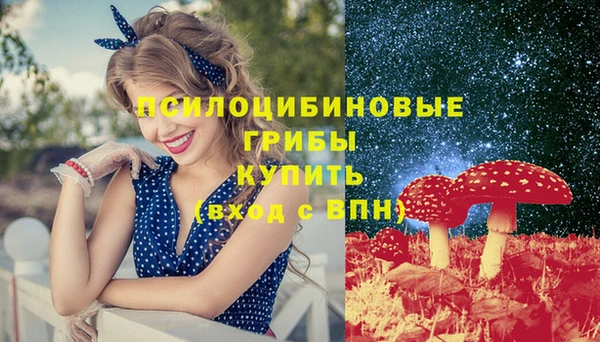 амф Осташков