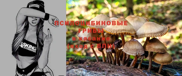 твердый Пересвет