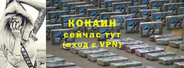 гашик Весьегонск