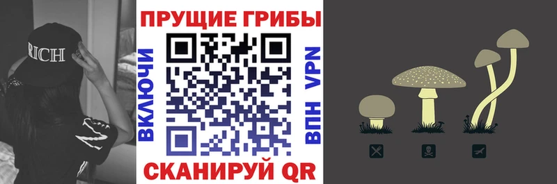 Псилоцибиновые грибы мицелий  Протвино 
