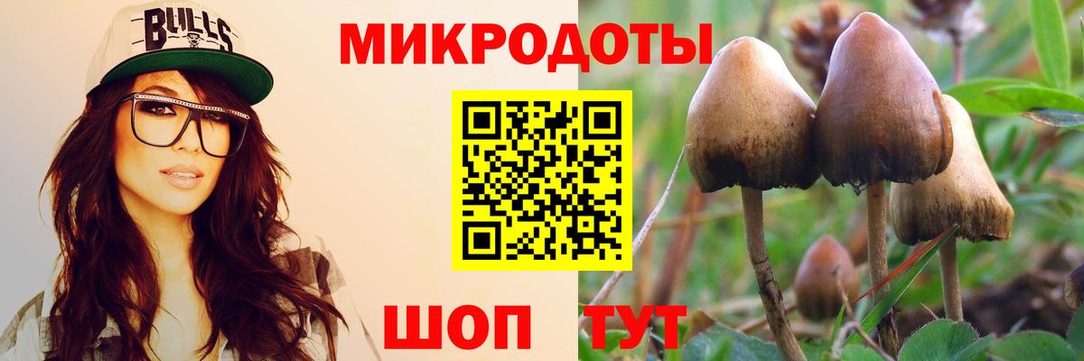 Протвино  Псилоцибиновые грибы мицелий  Вход с VPN 